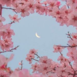 Meet your Posher, Irma